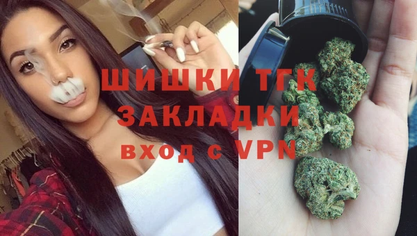 прущий лед Абаза