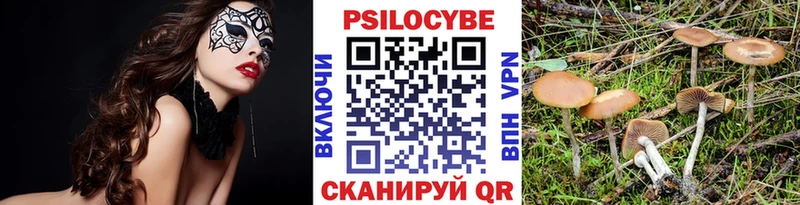магазин продажи наркотиков Советская Гавань мега ссылки Галлюциногенные грибы мицелий